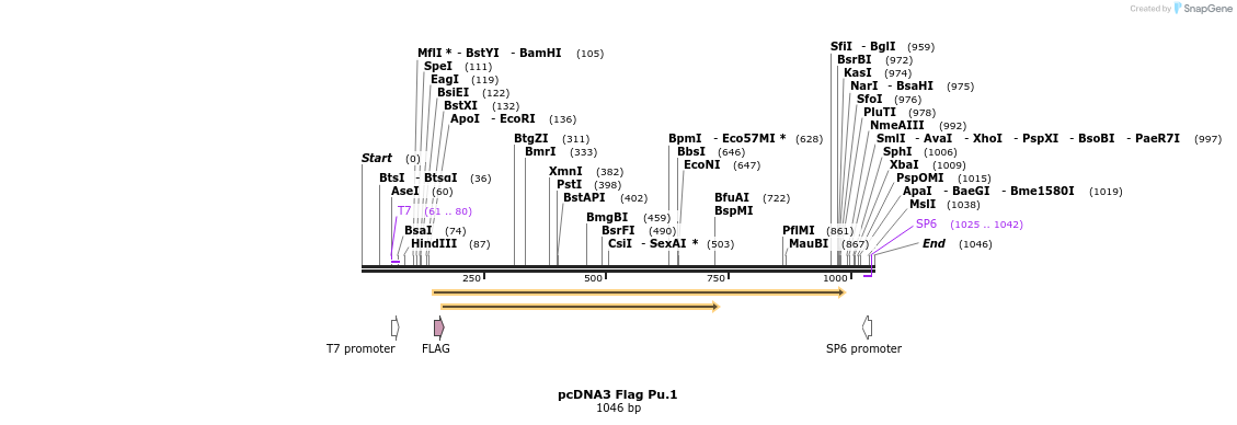 119182_map