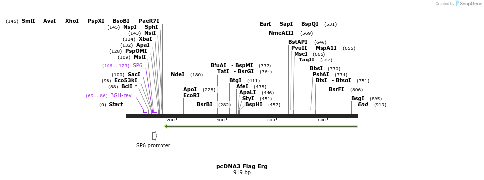 119187_map