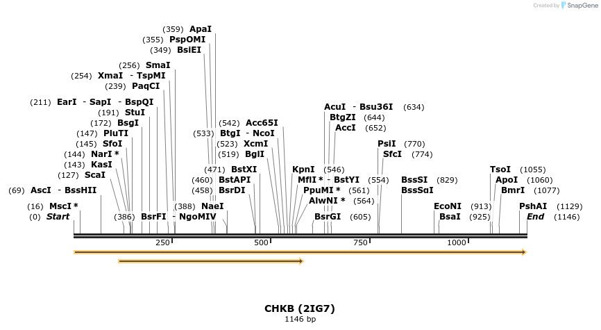 11920_map