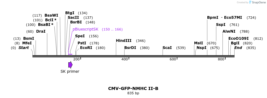 119214_map