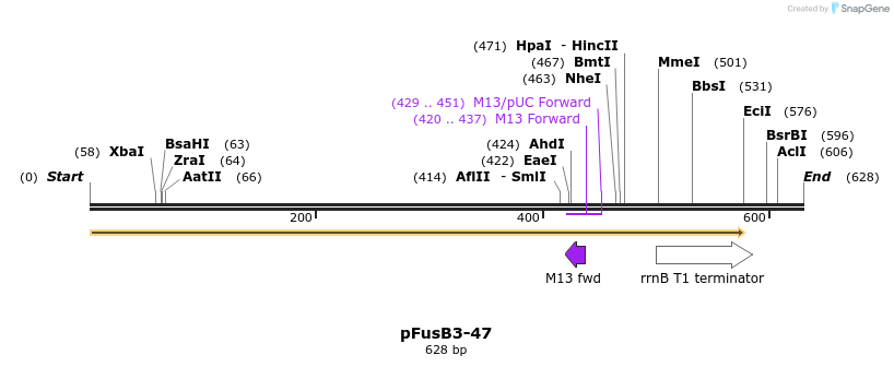 119216_map