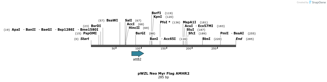 119217_map