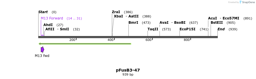 119218_map