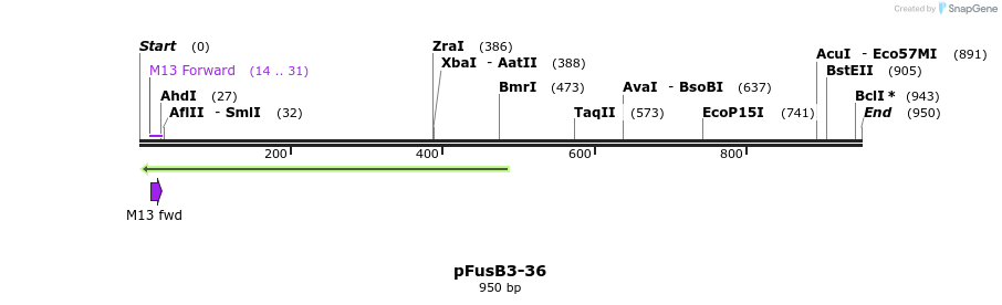 119219_map