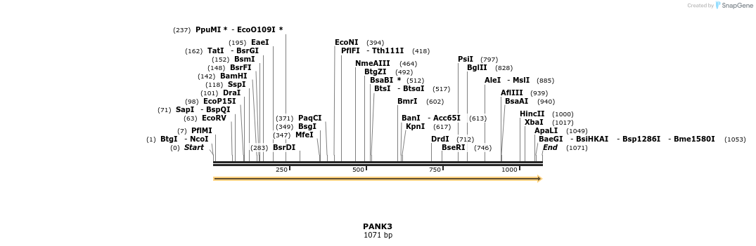 11922_map