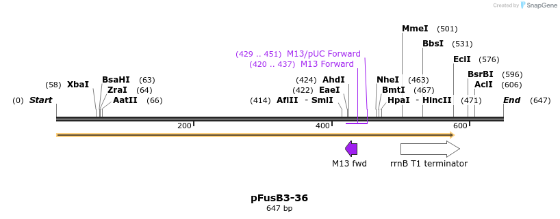 119220_map