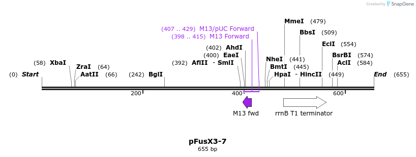 119221_map