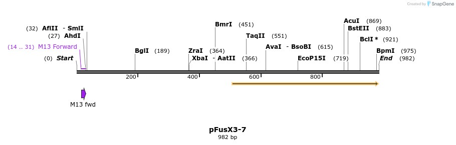119222_map
