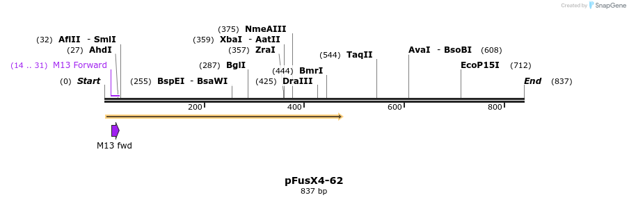 119227_map