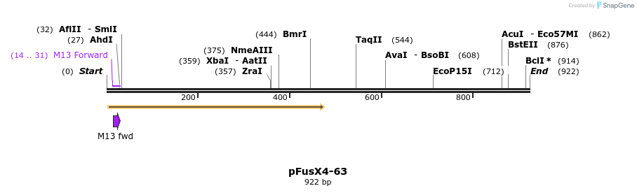 119228_map