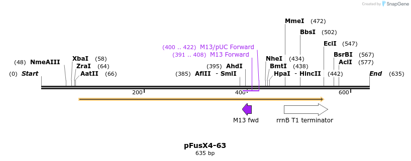 119229_map