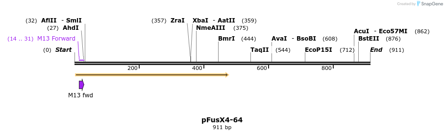 119231_map