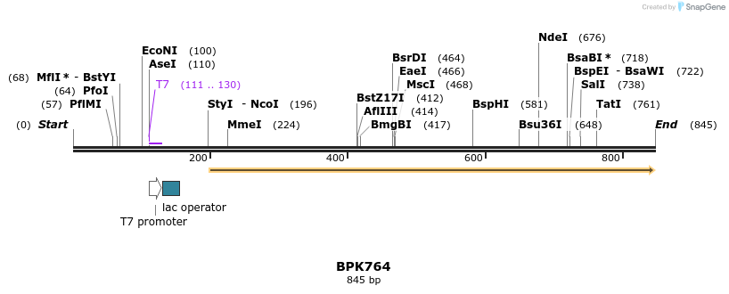119232_map