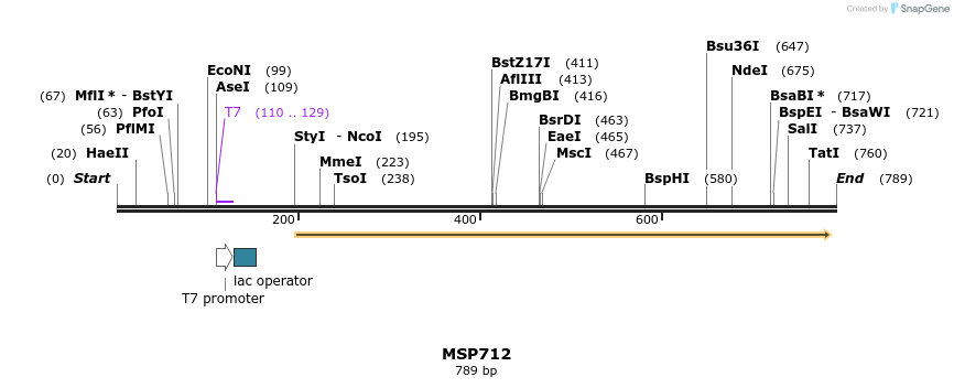 119233_map
