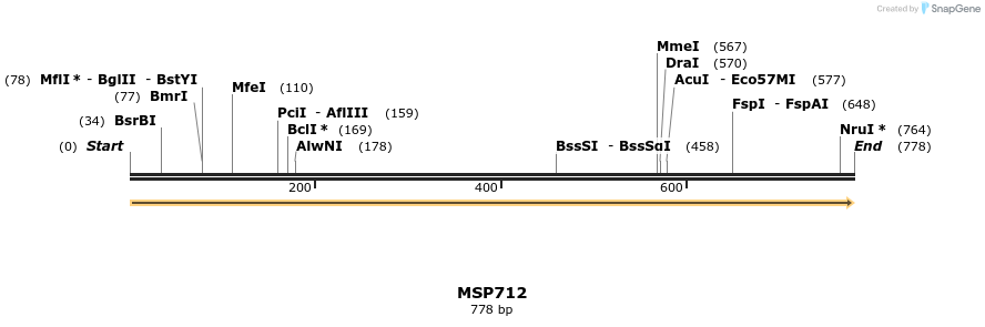 119234_map