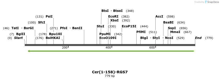 119237_map