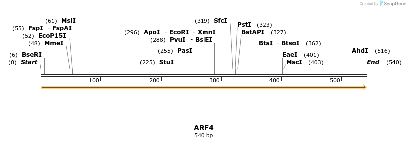 11924_map