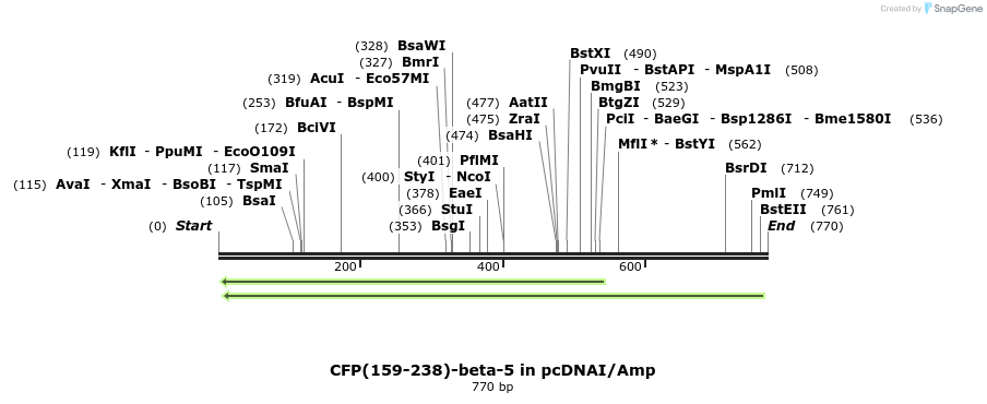 119241_map
