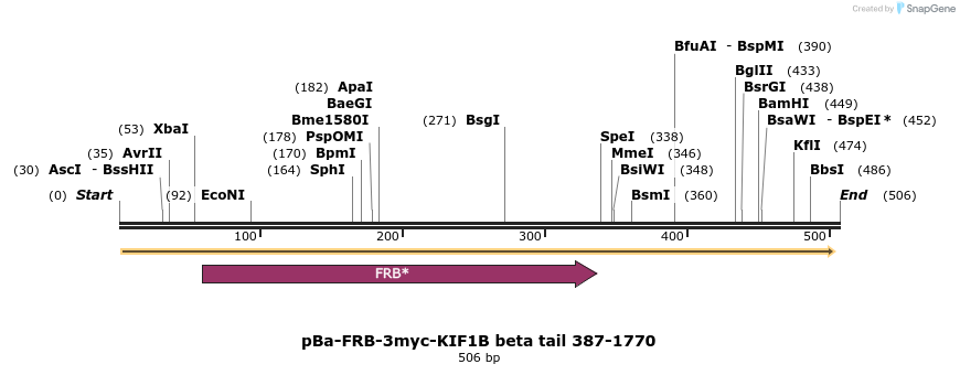 119242_map