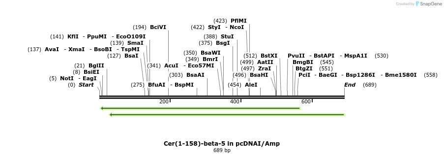 119256_map