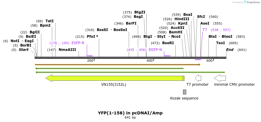 119259_map