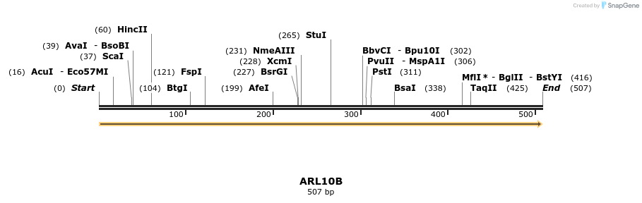11926_map