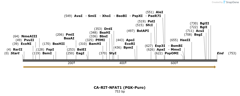 119264_map