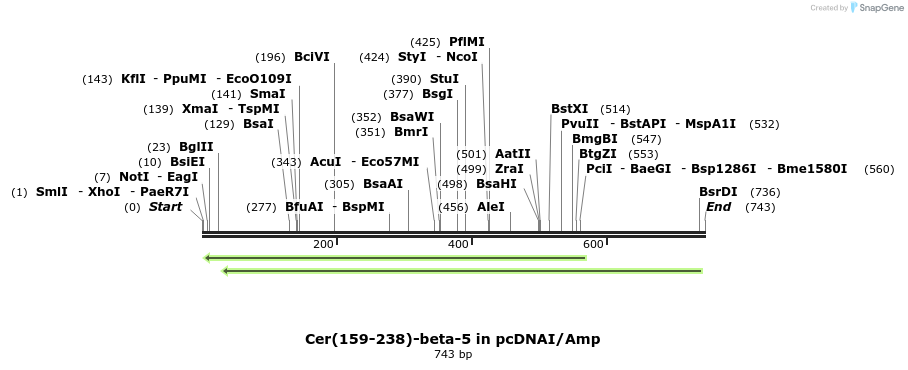 119269_map