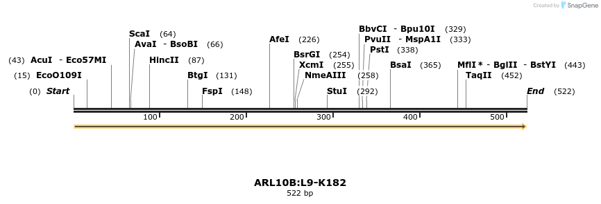 11927_map