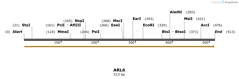11928_map