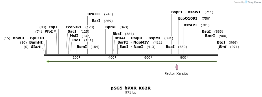 119282_map