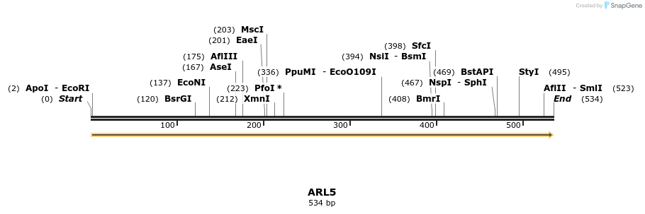 11929_map