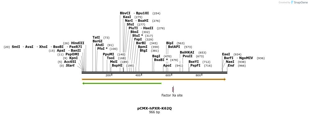 119293_map