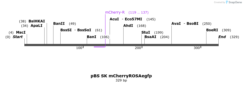119296_map