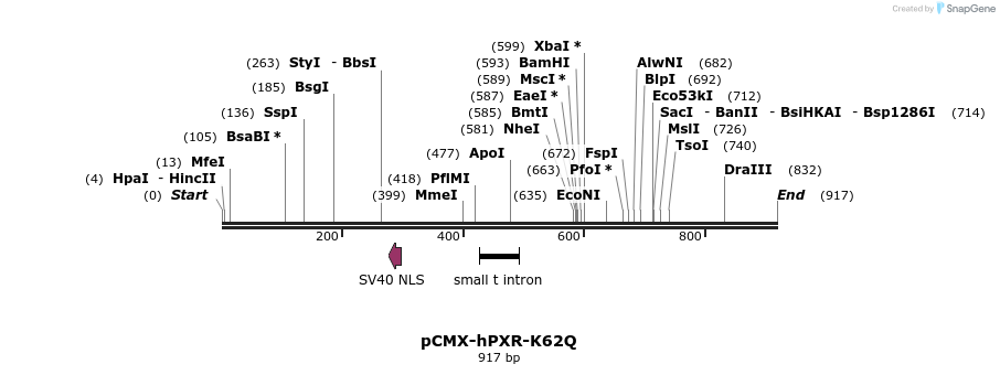 119297_map