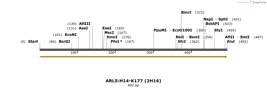 11930_map