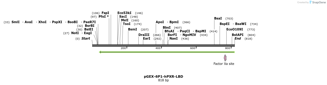 119302_map