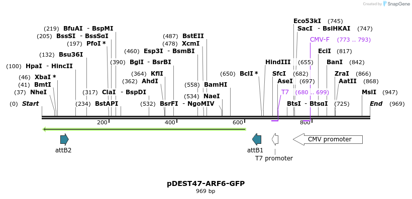 119303_map