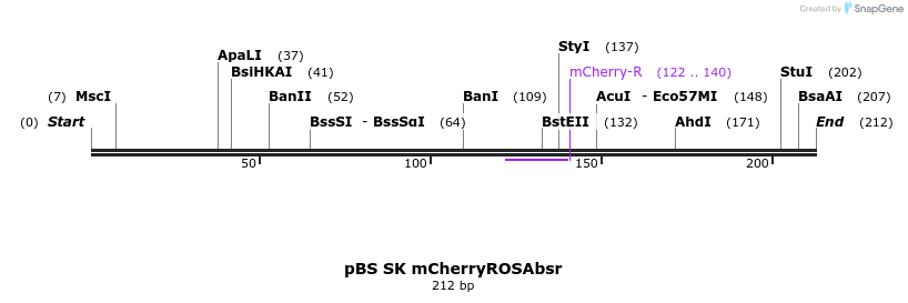 119308_map