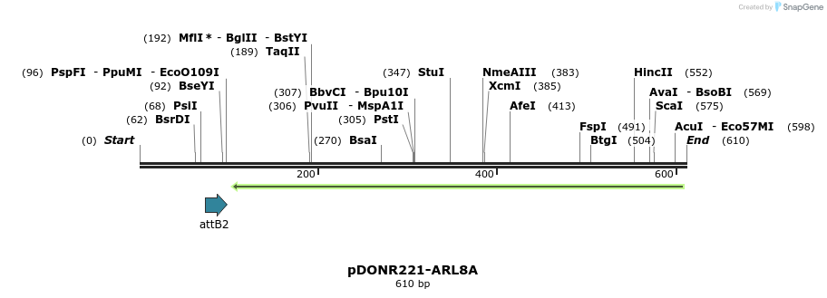 119309_map