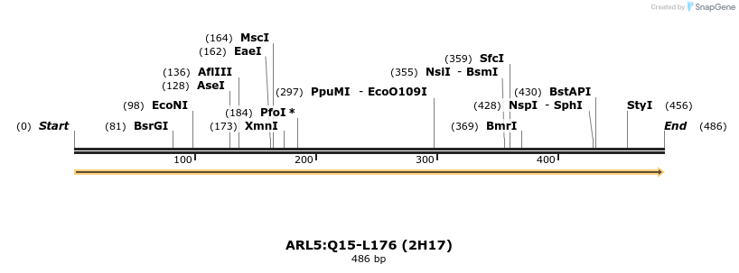 11931_map