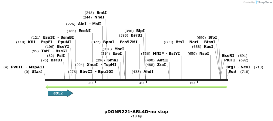 119310_map