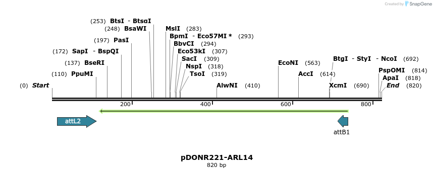 119311_map