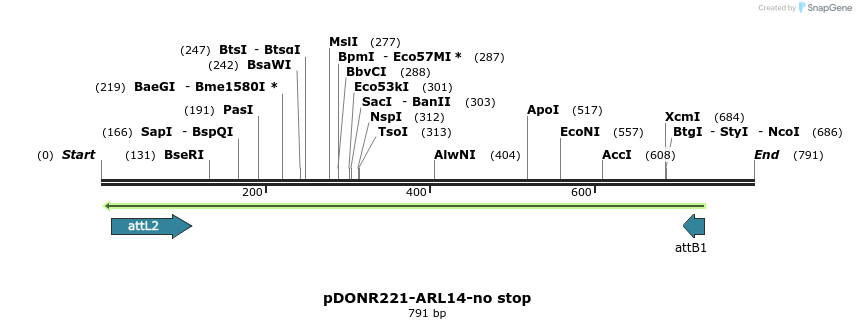 119314_map