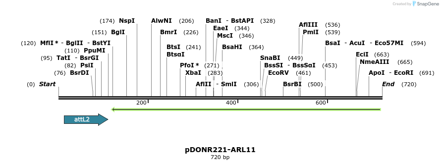119315_map