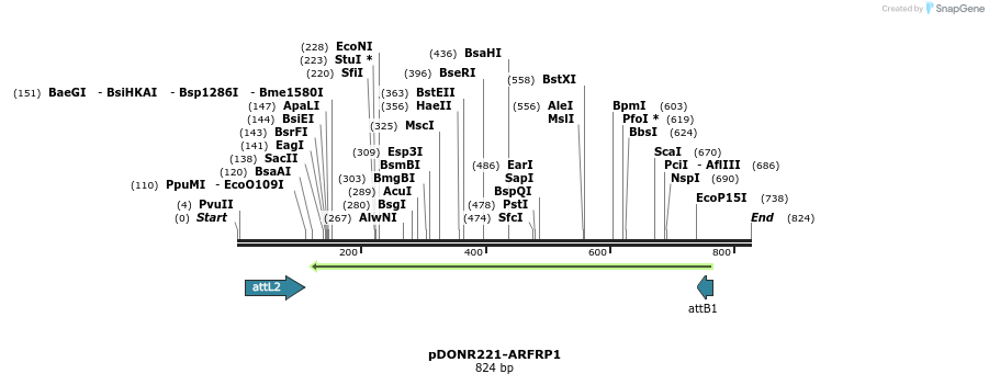 119318_map