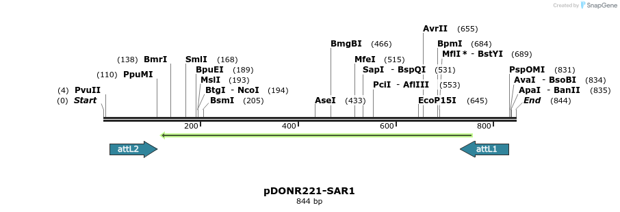 119320_map