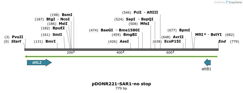 119321_map