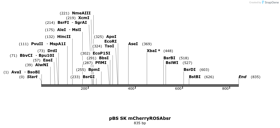 119322_map