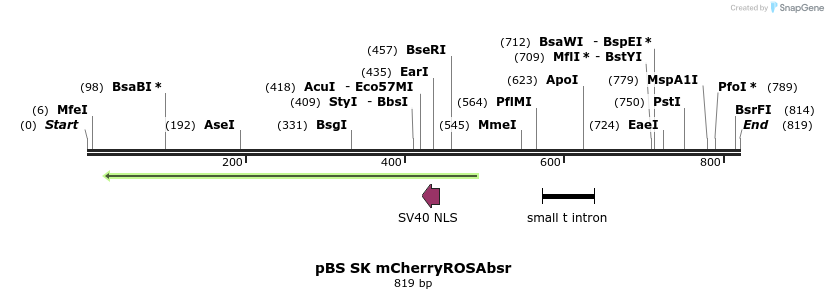 119323_map